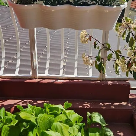 Apartment Afrodita Dubrovnik